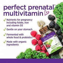 New Chapter Perfect Prenatal Multivitamin - 192 Vegetarian Tablets Health Supplements