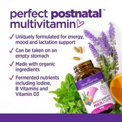 New Chapter Perfect Postnatal Multivitamin - 192 Vegetarian Tablets Health Supplements