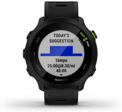 Outdoor Recreation Garmin Forerunner 55, GPS Running Watch, Black, Sunlight Visible Display