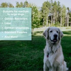 Outdoor Recreation Lumintrail Dog Bike Leash Attachment For Hands Free Dog Walking And Exercise - Leash Included