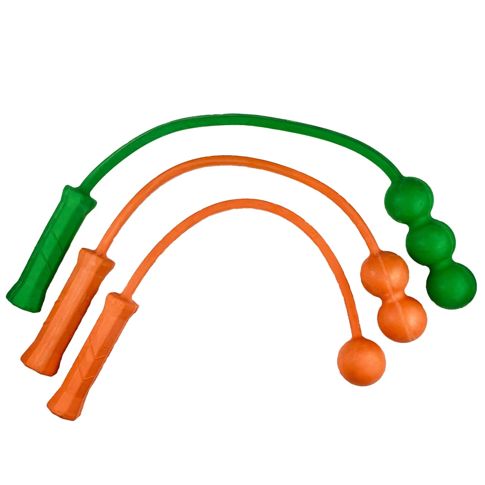 The Total Serve ServeMaster Academy (Family Pack) 3-Ball, 2-Ball, 1-Ball Outdoor Recreation 1 The Total Serve ServeMaster Academy (Family Pack) 3-Ball, 2-Ball, 1-Ball Outdoor Recreation