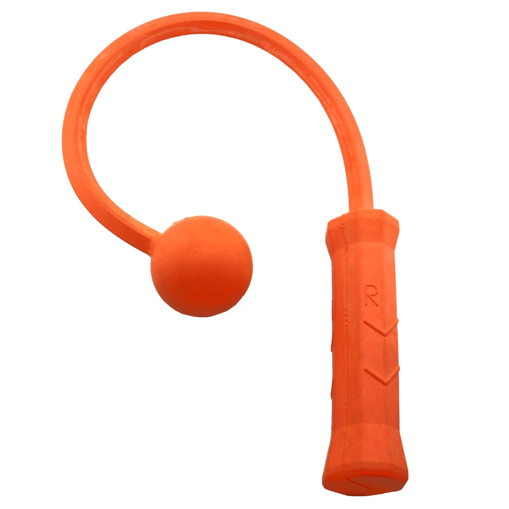 The Total Serve ServeMaster Academy (Family Pack) 3-Ball, 2-Ball, 1-Ball Outdoor Recreation 2 The Total Serve ServeMaster Academy (Family Pack) 3-Ball, 2-Ball, 1-Ball Outdoor Recreation