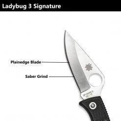 Spyderco Ladybug 3 Folding Knife Plain Edge Blade With Keychain Loop, Black Outdoor Recreation