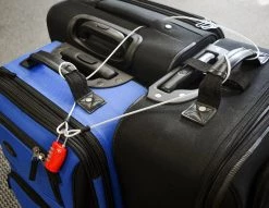 Lumintrail 3mm Braided Steel Coated Security Cable Luggage Lock Safety Cable Wire Double Loop Outdoor Recreation