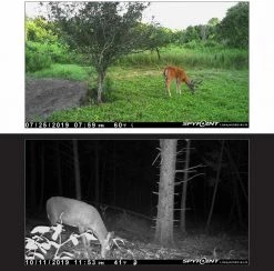 Spypoint LINK-MICRO-S-LTE Solar Cellular Trail Camera With Rechargeable Battery 12 Spypoint LINK-MICRO-S-LTE Solar Cellular Trail Camera With Rechargeable Battery