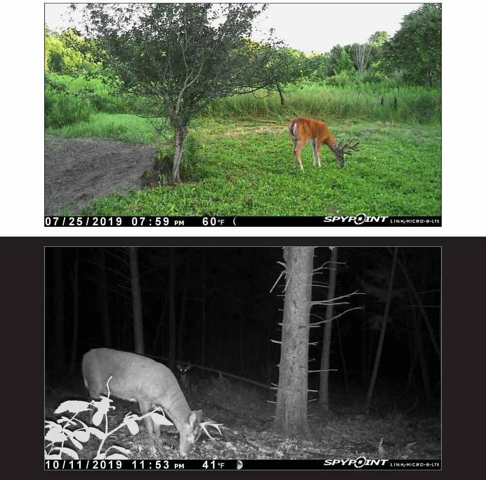 Spypoint LINK-MICRO-S-LTE Solar Cellular Trail Camera With Rechargeable Battery 6 Spypoint LINK-MICRO-S-LTE Solar Cellular Trail Camera With Rechargeable Battery