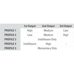 SureFire Guardian Rechargeable Flashlight Dual Beam 1000 Lumens W/ Intellibeam Outdoor Recreation