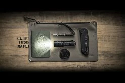 Surefire E1B Backup Flashlight