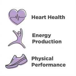 New Chapter CoQ10+ Food Complex Supplement Antioxidant & Cardiovascular Support Non-GMO - 60 Vegetarian Capsules